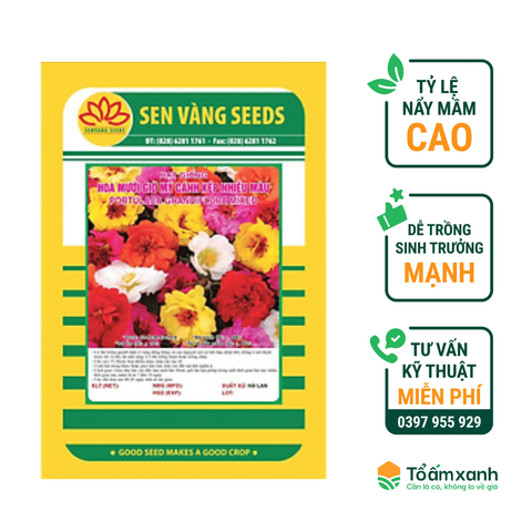 Hạt Giống Hoa Mười Giờ Mỹ Cánh Kép Nhiều Màu - Sen Vàng  0.5 gram