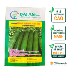 Hạt Giống Bí Ngồi Hàn Quốc F1 - ĐA 163