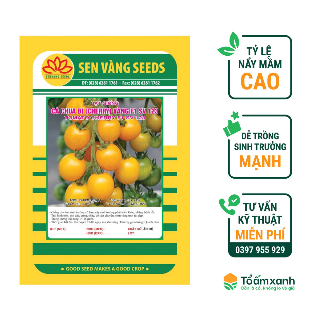 Hạt Giống Cà Chua Bi Vàng F1 SV 123 - Sen Vàng