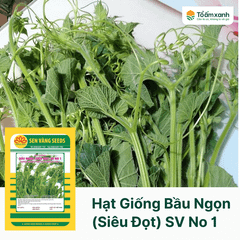 Hạt Giống Bầu Ngọn  (Siêu Đọt) SV No 1 - Sen Vàng