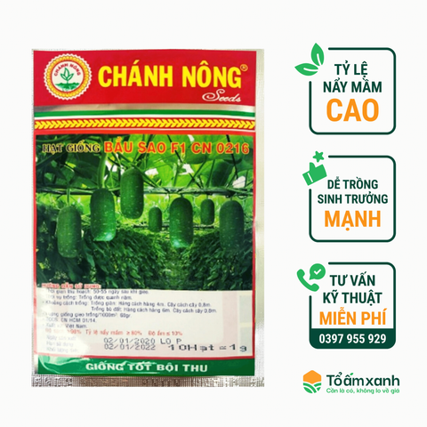 Hạt Giống Bầu Sao F1 CN 0216 - Chánh Nông