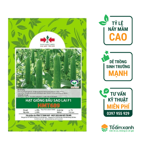 Hạt Giống Bầu Sao 689 -  Hai Mũi Tên Đỏ