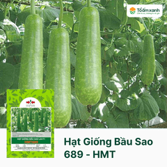 Hạt Giống Bầu Sao 689 -  Hai Mũi Tên Đỏ