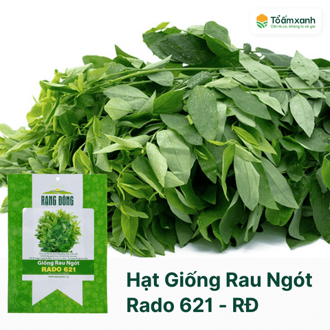 Hạt Giống Rau Ngót RADO 621 - Rạng Đông