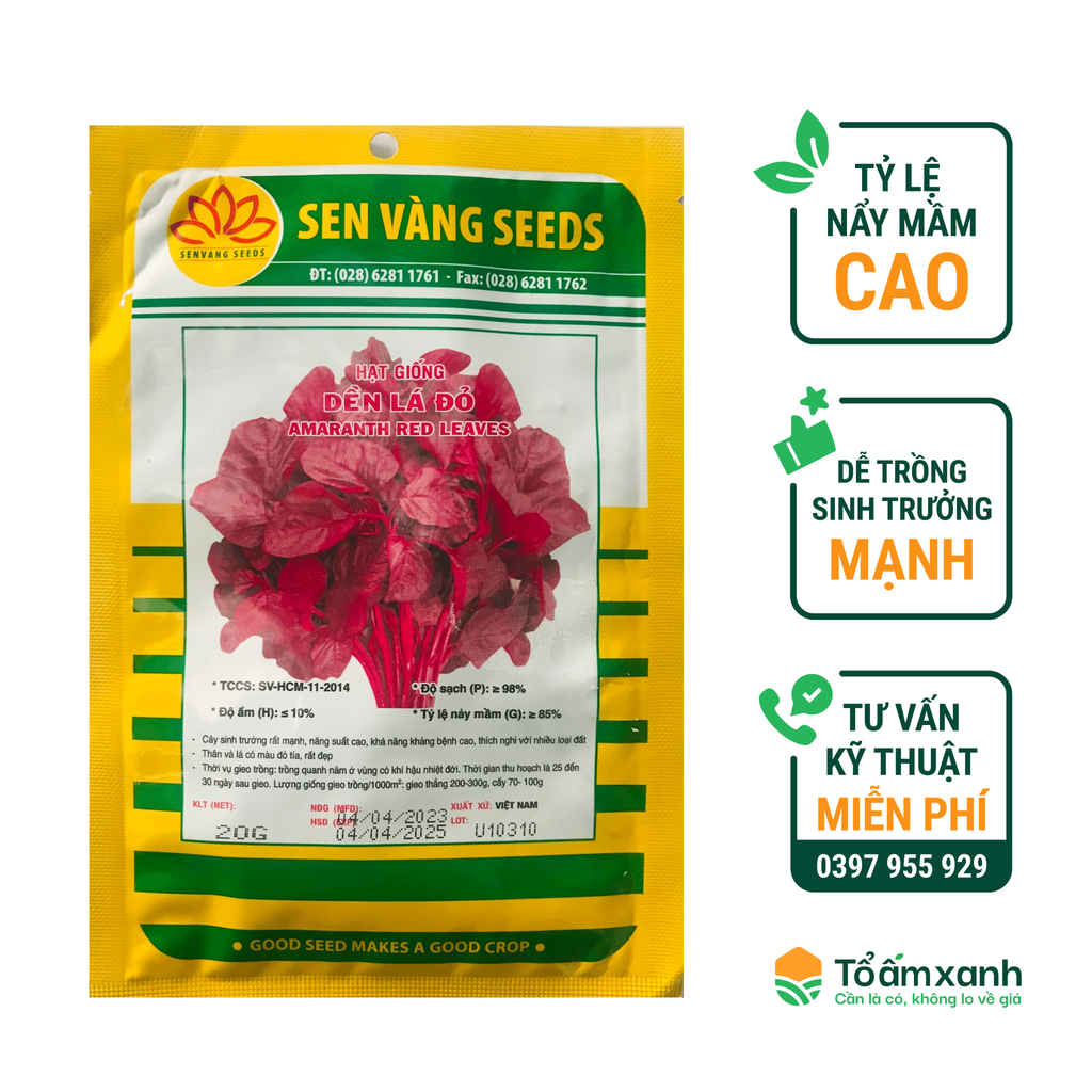 Hạt Giống Dền Lá Đỏ - Sen Vàng