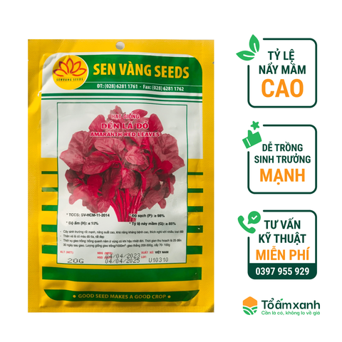 Hạt Giống Dền Lá Đỏ - Sen Vàng
