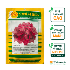 Hạt Giống Dền Lá Đỏ - Sen Vàng