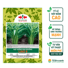 Hạt Giống Rau Muống LIAO 9 -  Hai Mũi Tên Đỏ
