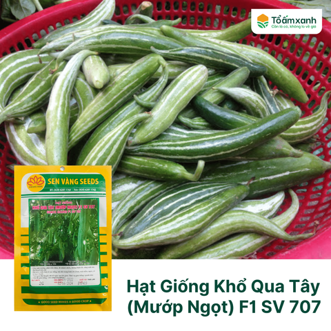 Hạt Giống Khổ Qua Tây (Mướp Ngọt) F1 SV 707 - Sen Vàng