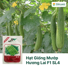 Hạt Giống Mướp Hương Lai F1 SL4 - Bảo Nông