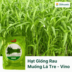 Hạt Giống Rau Muống Lá Tre - Vino