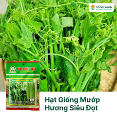 Hạt Giống Mướp Hương Siêu Đọt - Nông Nghiệp Xanh