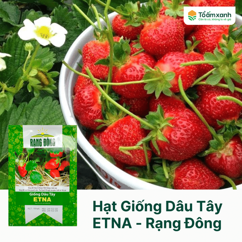 Hạt Giống Dâu Tây ETNA - Rạng Đông  10 Hạt