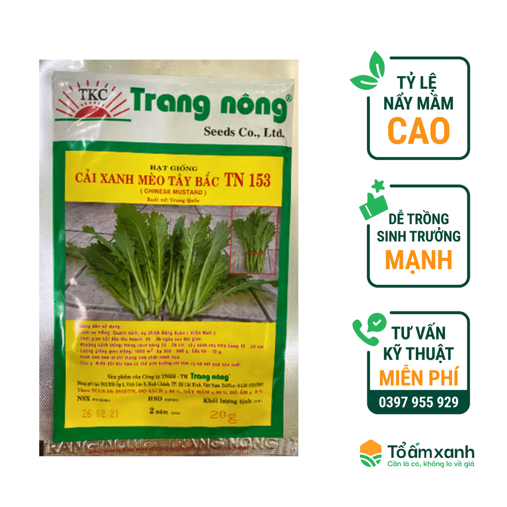 Hạt Giống Cải Xanh Mèo Tây Bắc 153 - Trang Nông