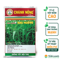 Hạt Giống Rau Muống - Chánh Nông
