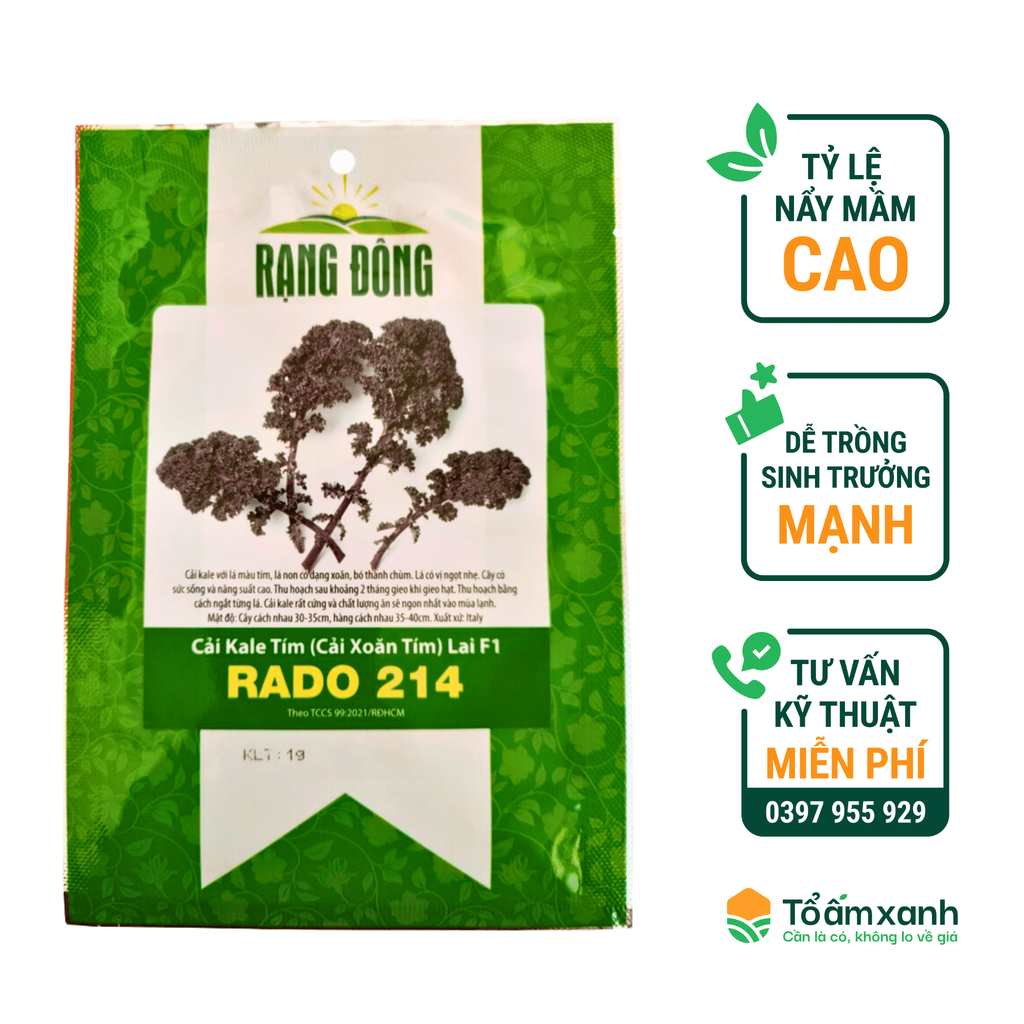 Hạt Giống Cải Kale Tím (Cải Xoăn Tím) Lai F1 RADO 214 - Rạng Đông