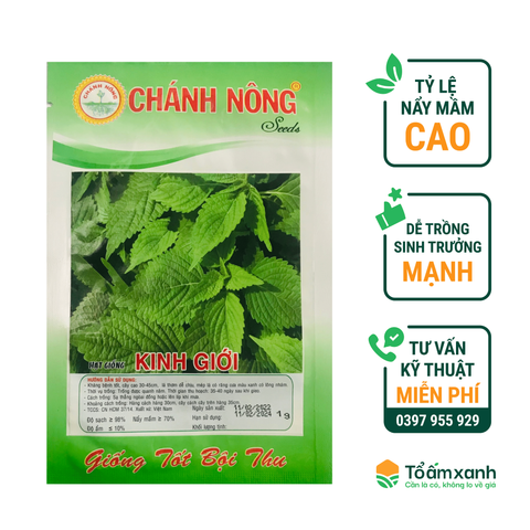 Hạt Giống Kinh Giới - Chánh Nông