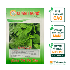 Hạt Giống Kinh Giới - Chánh Nông