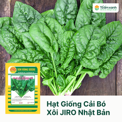 Hạt Giống Cải Bó Xôi JIRO Nhật Bản - Sen Vàng