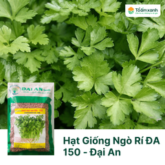 Hạt Giống Ngò Rí ĐA 150 - Đại An