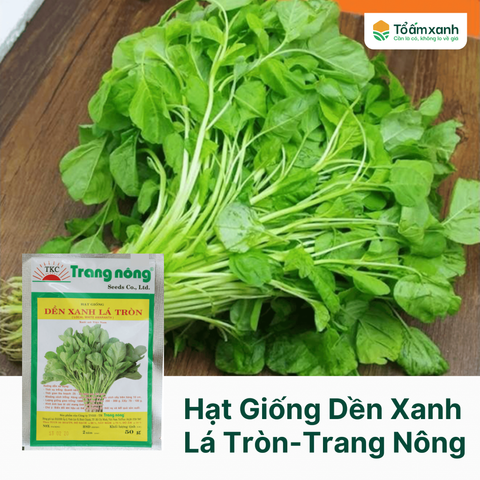 Hạt Giống Dền Xanh Lá Tròn - Trang Nông  50 gram