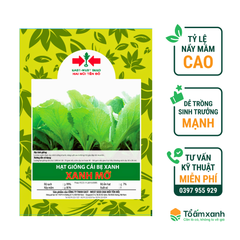 Hạt Giống Cải Bẹ Xanh Mỡ - Hai Mũi Tên Đỏ