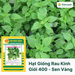 Hạt Giống Rau Kinh Giới SV 400 - Sen Vàng