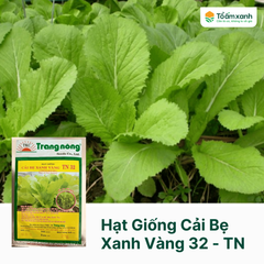 Hạt Giống Cải Bẹ Xanh Vàng 32 - Trang Nông