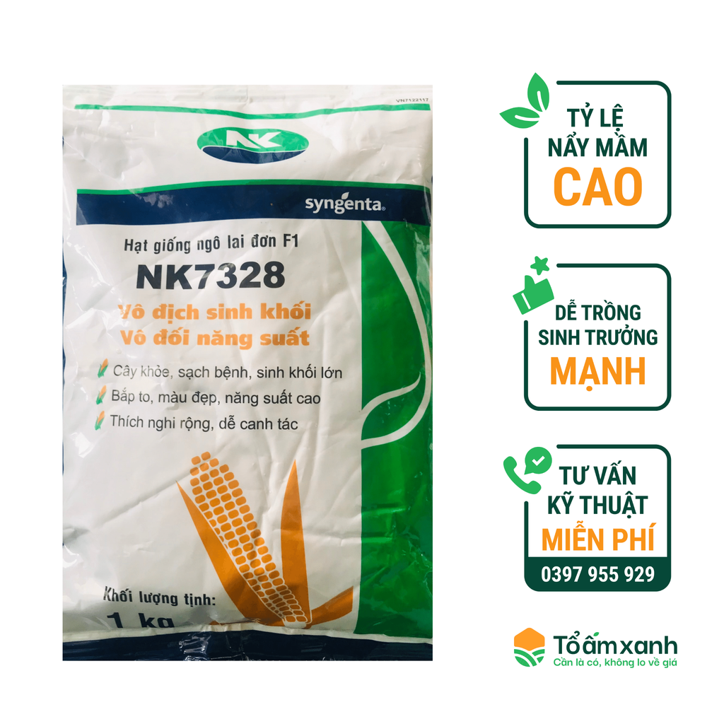 Hạt Giống Bắp Lai Đơn F1 NK 7328 - SYNGENTA