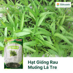 Hạt Giống Rau Muống Lá Tre - Thuận Thành