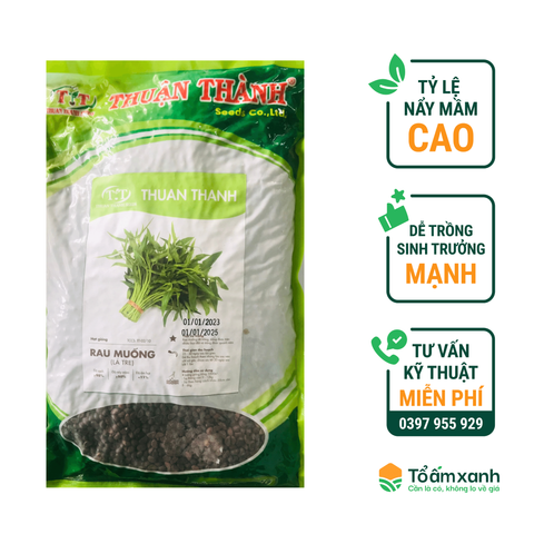 Hạt Giống Rau Muống Lá Tre - Thuận Thành