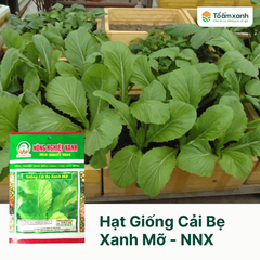 Hạt Giống Cải Bẹ Xanh Mỡ - Nông Nghiệp Xanh