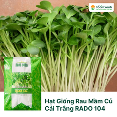 Hạt Giống Rau Mầm Củ Cải Trắng RADO 104 - Rạng Đông