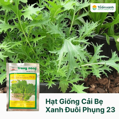 Hạt Giống Cải Bẹ Xanh Đuôi Phụng 23 - Trang Nông
