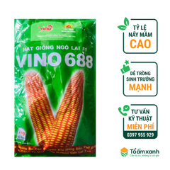 Hạt Giống Bắp Lai F1 688 - VINO