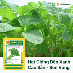 Hạt Giống Dền Xanh Cao Sản - Sen Vàng