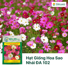 Hạt Giống Hoa Sao Nhái ĐA 102 - Đại An