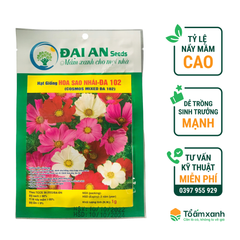 Hạt Giống Hoa Sao Nhái ĐA 102 - Đại An