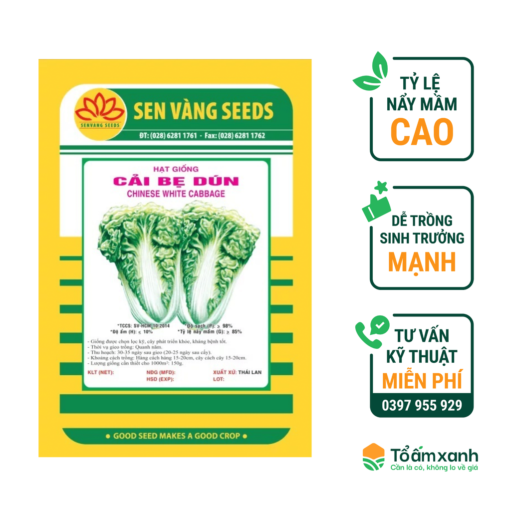 Hạt Giống Cải Bẹ Dún - Sen Vàng