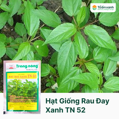 Hạt Giống Rau Đay Xanh TN 52 - Trang Nông