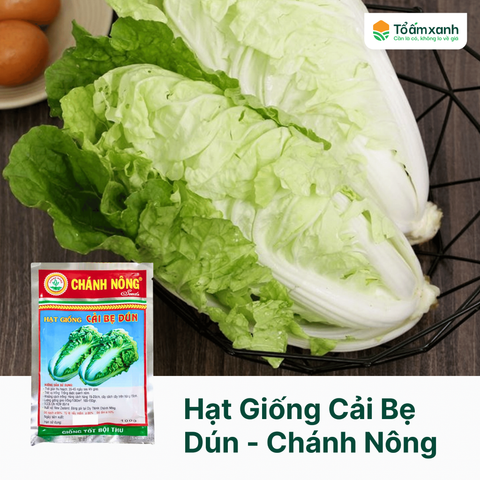 Hạt Giống Cải Bẹ Dún - Chánh Nông