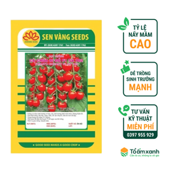 Hạt Giống Cà Chua Bi F1 SV 102 - Sen Vàng