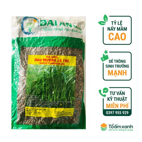 Hạt Giống Rau Muống Lá Tre - Đại An