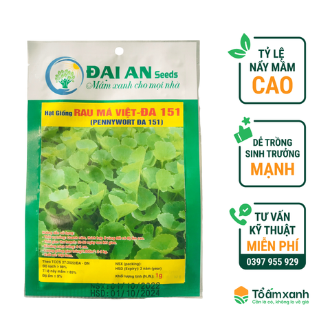 Hạt Giống Rau Má Việt ĐA 151 - Đại An