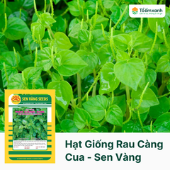 Hạt Giống Rau Càng Cua - Sen Vàng