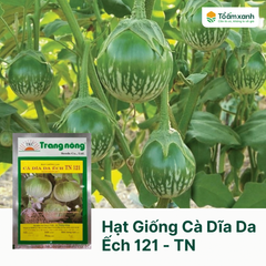 Hạt Giống Cà Dĩa Da Ếch 121 - Trang Nông