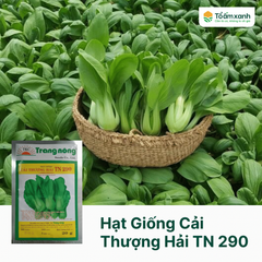 Hạt Giống Cải Thượng Hải TN 290 - Trang Nông  20 gram