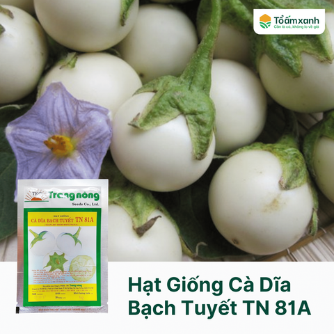 Hạt Giống Cà Dĩa Bạch Tuyết TN 81A - Trang Nông