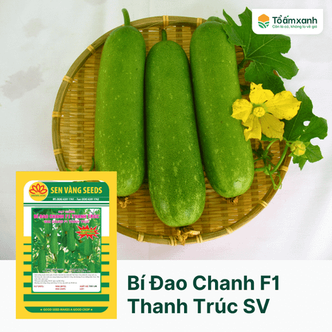 Bí Đao Chanh F1 Thanh Trúc - Sen Vàng