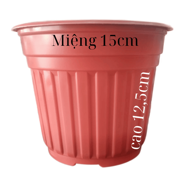 Chậu TTK
